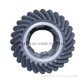 Spiral Bevel Gear